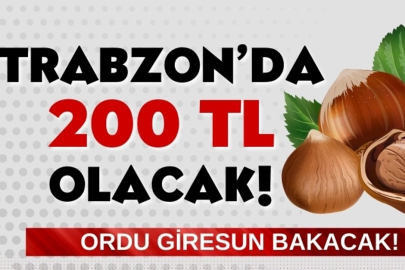 Fındık Trabzon'da 200 TL Olacak