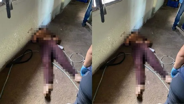 Aydın’da Temizlik Sırasında Elektrik Akımına Kapılan Genç Kadın Hayatını Kaybetti