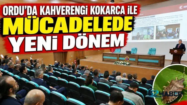 ORDU’DA KAHVERENGİ KOKARCA İLE MÜCADELEDE YENİ DÖNEM: 120 KİŞİLİK EKİP SAHAYA İNECEK