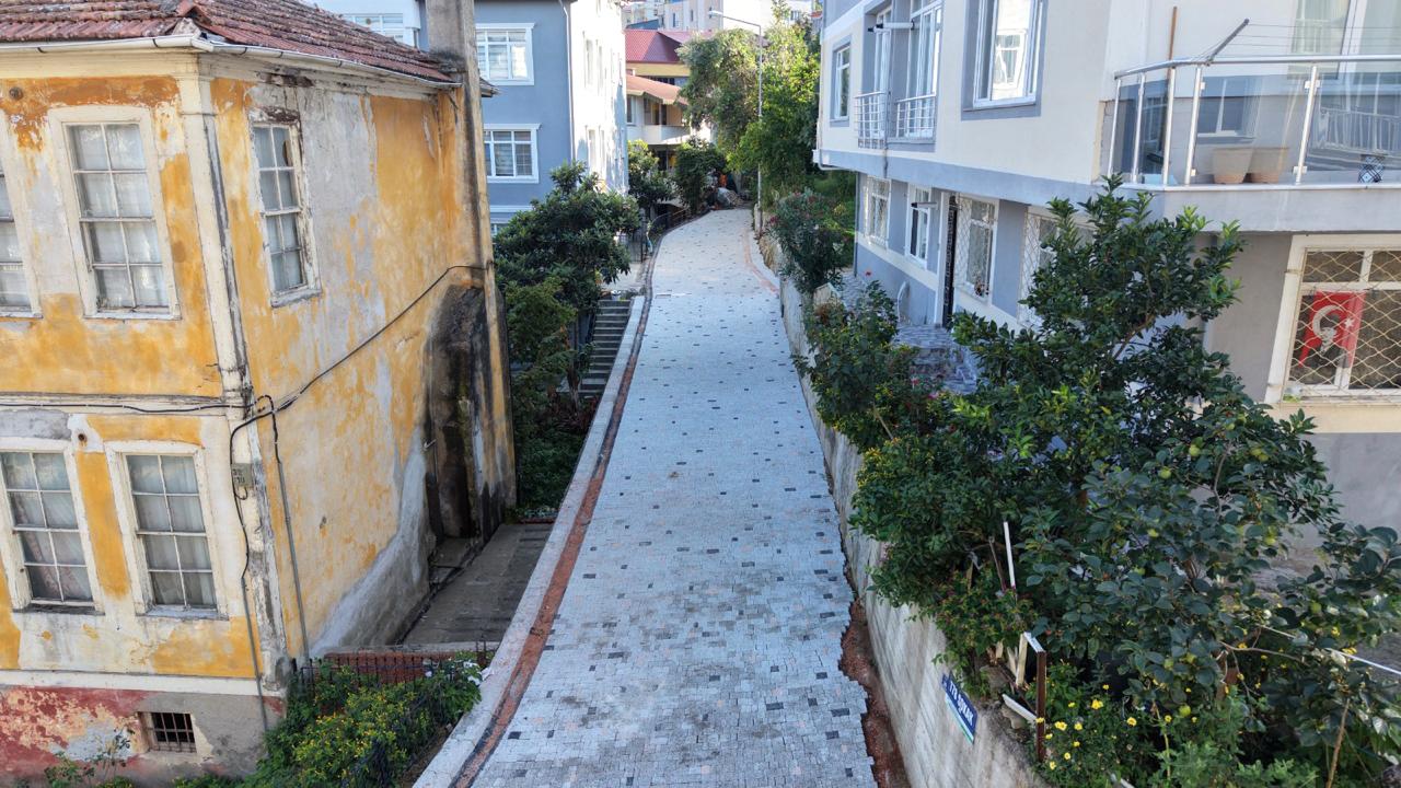 Altınordu Belediyesi'nden Tarihi Saray Mahallesi'ne Estetik Dokunuş