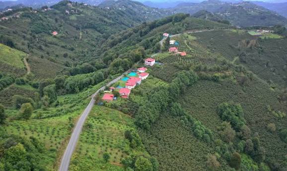 Çaybaşı’nda Akbaba ve Cevizliyatak mahallelerini bağlayan yol asfaltlandı