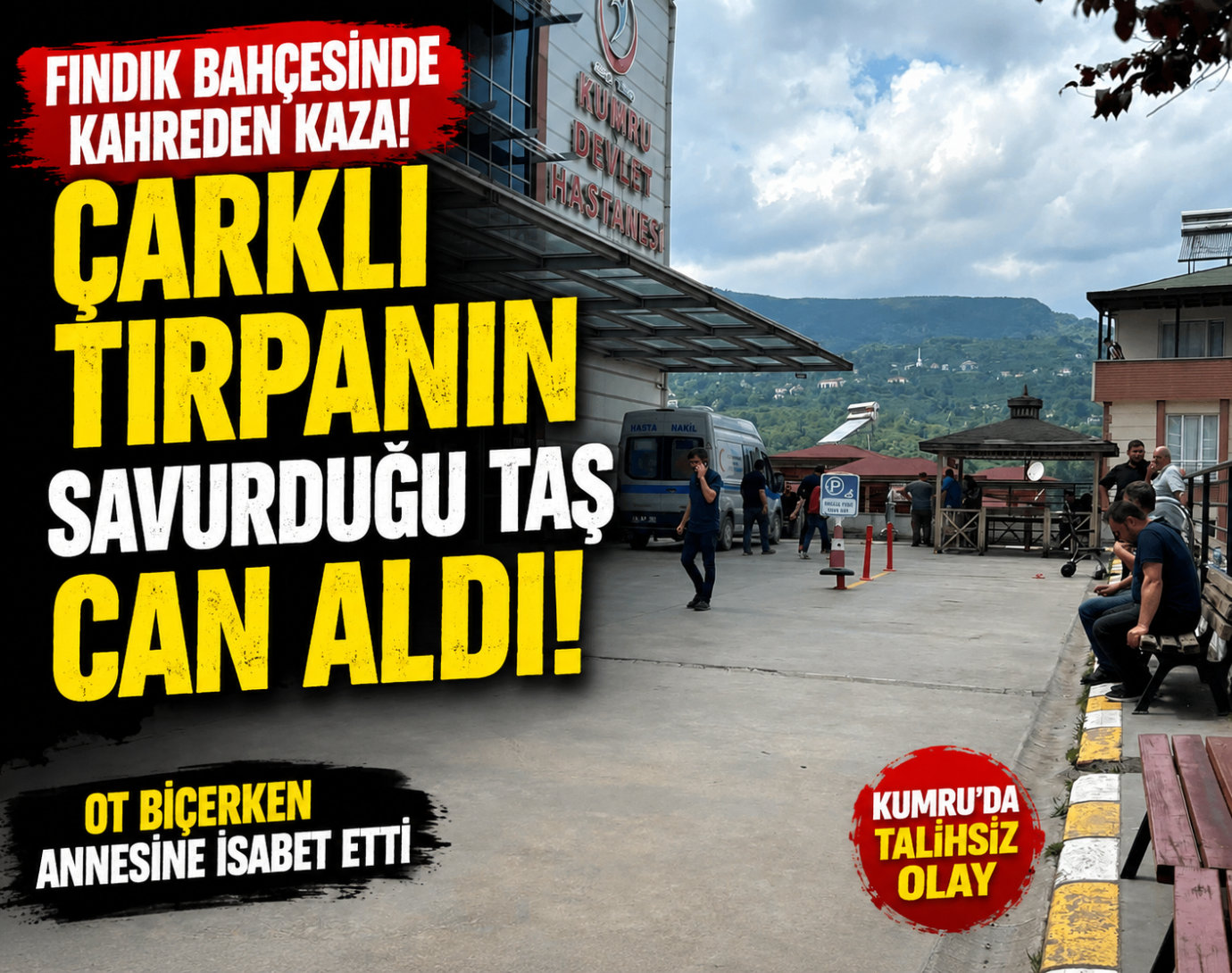 Fındık Bahçesinde Kahreden Kaza: Çarklı Tırpanın Savurduğu Taş Can Aldı