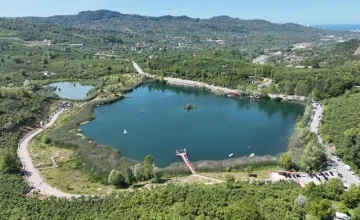 Ordu’nun göl ve göletleri sazanla canlanıyor
