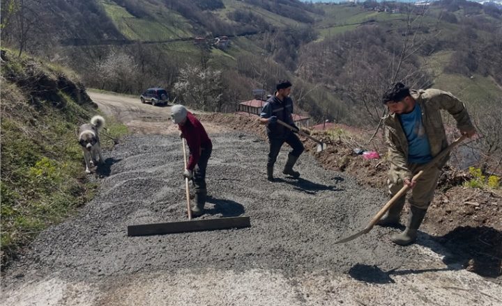 Yeşilalan Mahallesi’nde Beton Yol Çalışmaları Devam Ediyor